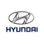 Коврик в багажник для Hyundai